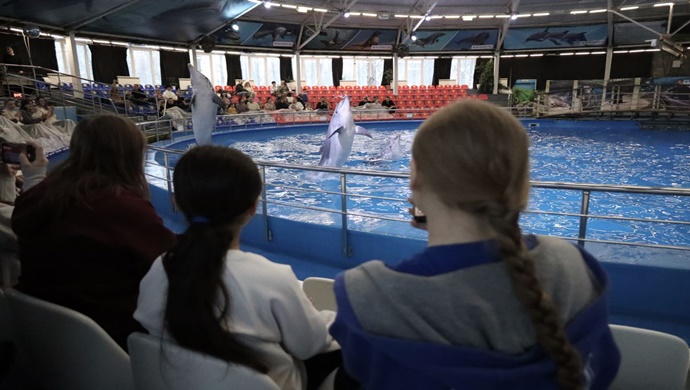 Nizhny Novgorod’da, Birleşik Rusya, bir rehabilitasyon merkezinden gelen çocuklar için yunus gösteri merkezine bir gezi düzenledi